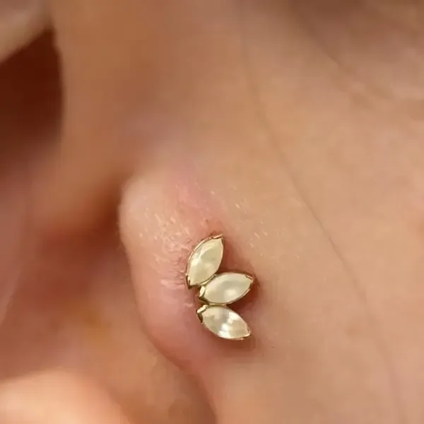 Piercing près de Le Faou